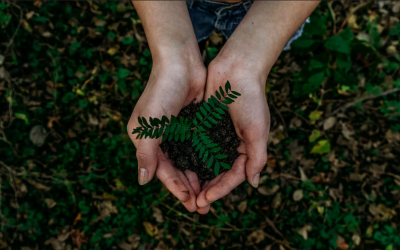 Nature Therapy, Menikmati Alam untuk Kesehatan Mental