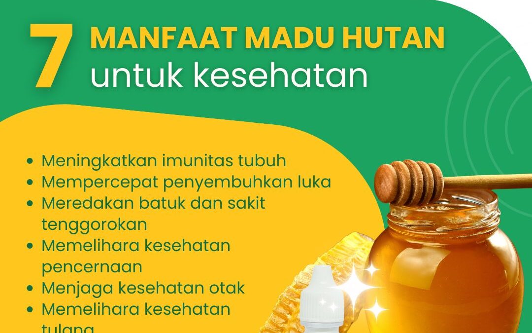 7 Manfaat Madu Hutan untuk Kesehatan Tubuh