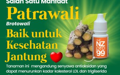 Patrawali/Brotowali: Tanaman Herbal untuk Kesehatan Jantung yang Lebih Baik